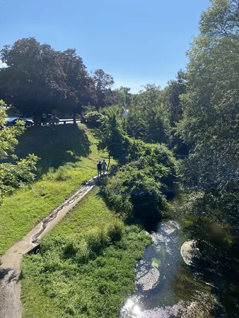a view of a street with a yard