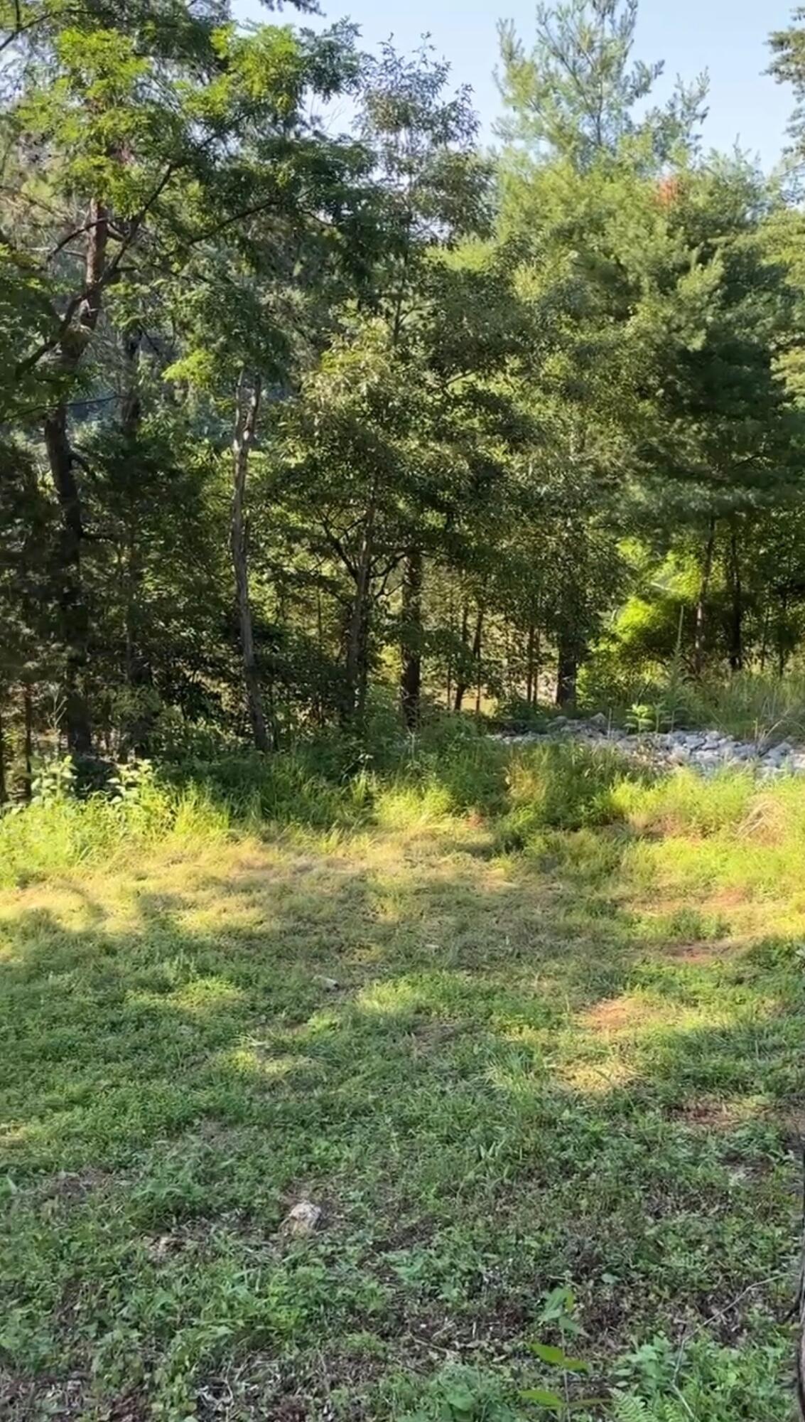 1953 Moorman Road Hardy, VA 24101 - Photo 9 of 10 a view of a yard
