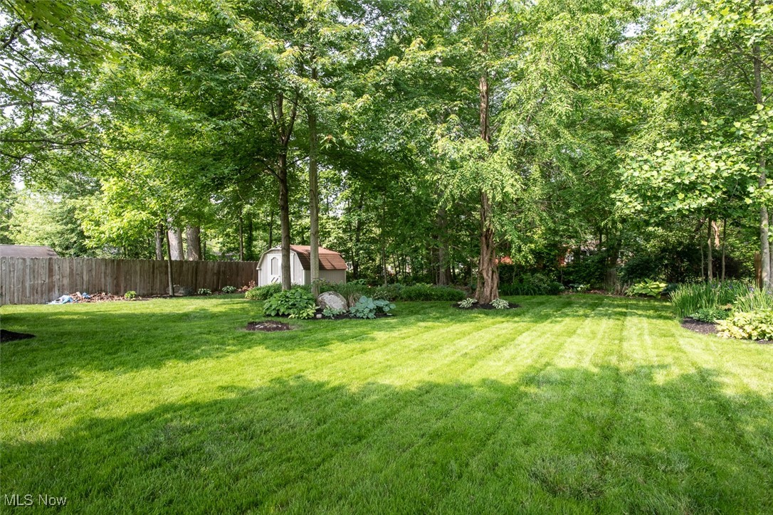 126 Timber Ridge Drive Elyria, OH 44035 - Photo 4 of 49 View of yard