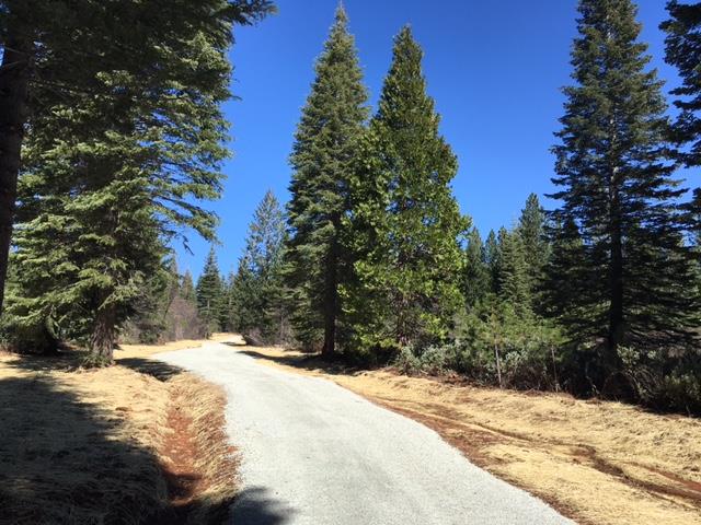 22281 Back Bone Road Nevada City, CA 95959 - Photo 3 of 9