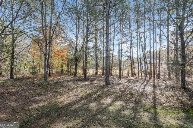 a view of trees with trees in the background
