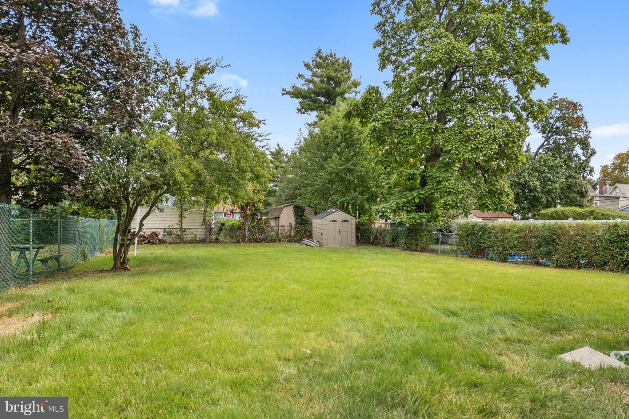 131 Lippincott Avenue Riverside, NJ 08075 - Photo 34 of 34 a tall tree in middle of the green field