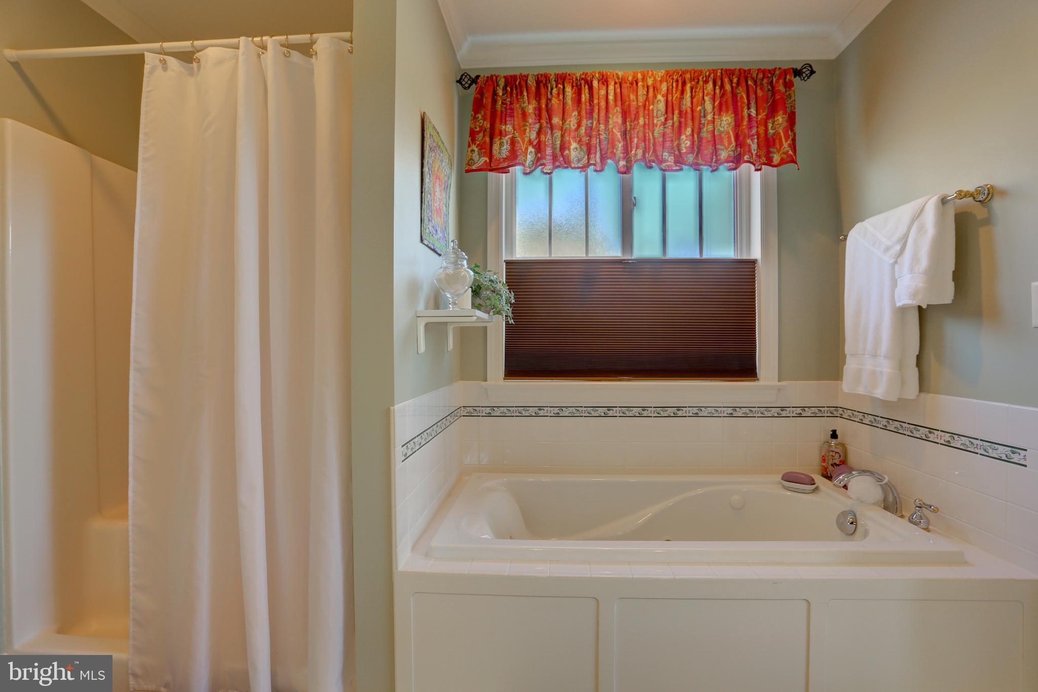 406 West Lexington Road Lititz, PA 17543 - Photo 32 of 46 Jazzuci tub