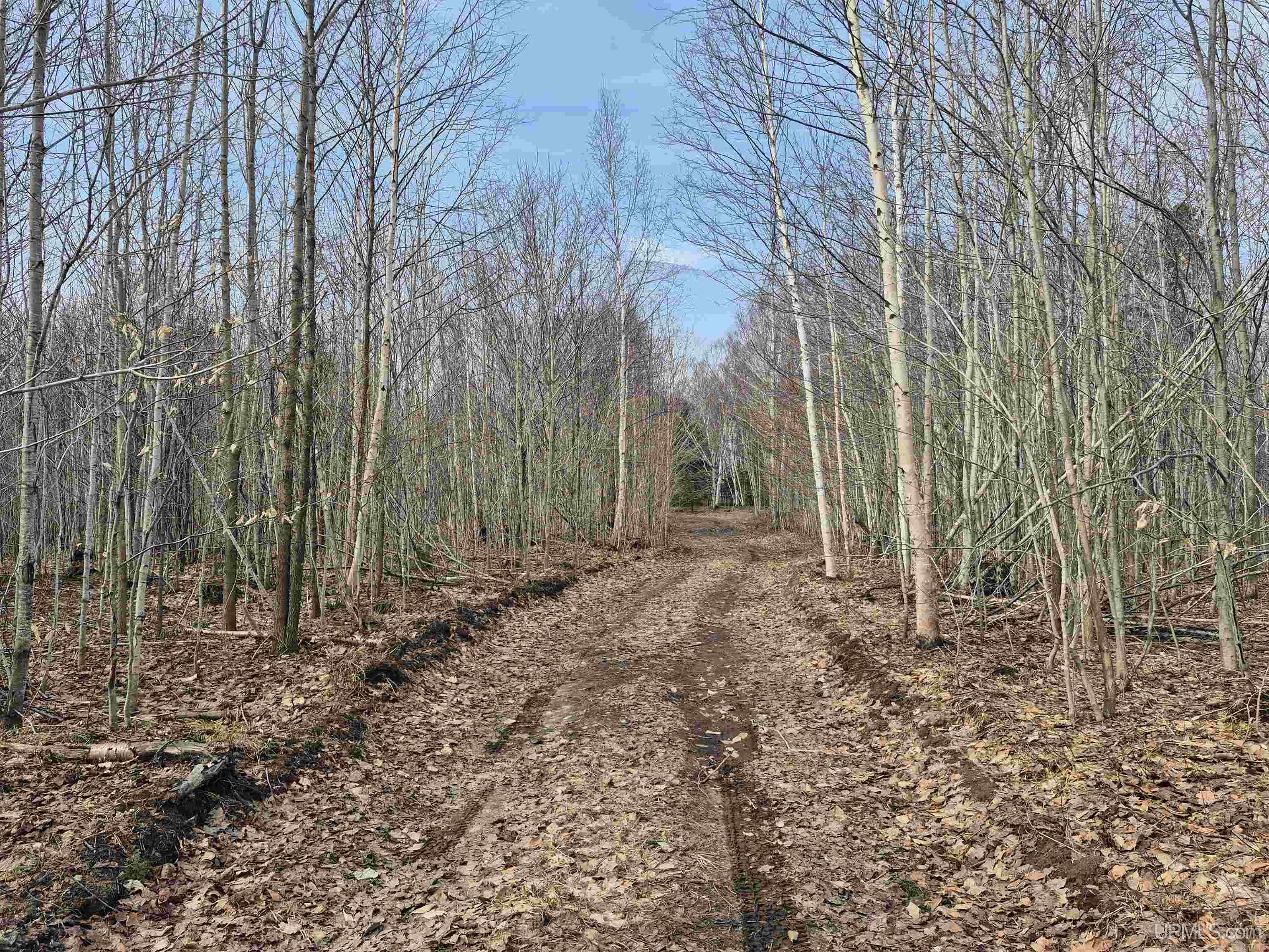 3754 Quarry Road Gulliver, MI 49840 - Photo 43 of 77
