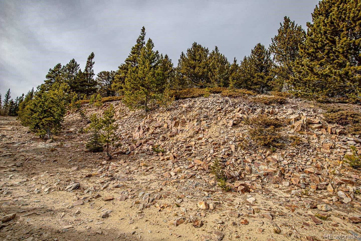 111 Hilltop Road Idaho Springs, CO 80452 - Photo 12 of 25