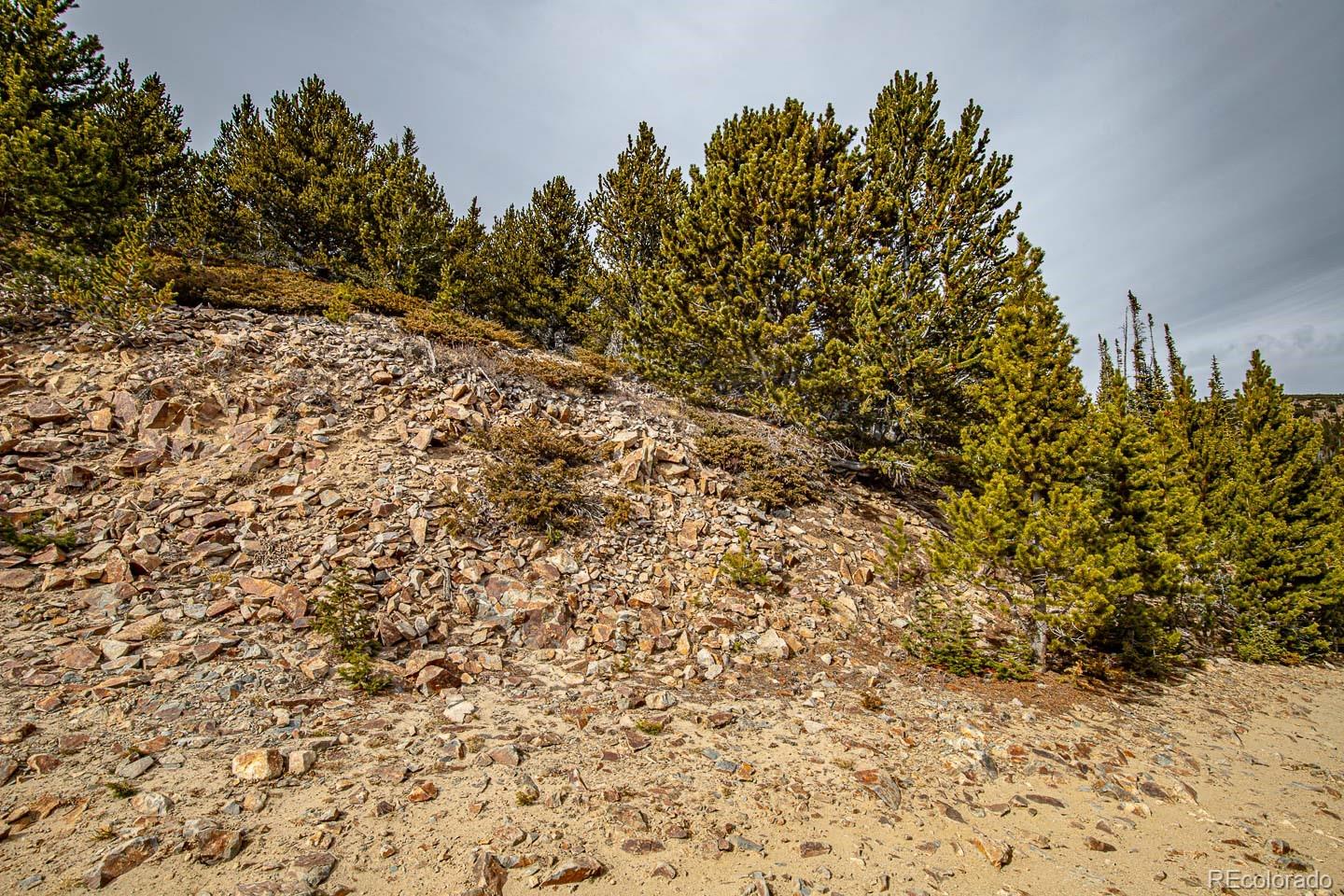 111 Hilltop Road Idaho Springs, CO 80452 - Photo 13 of 25