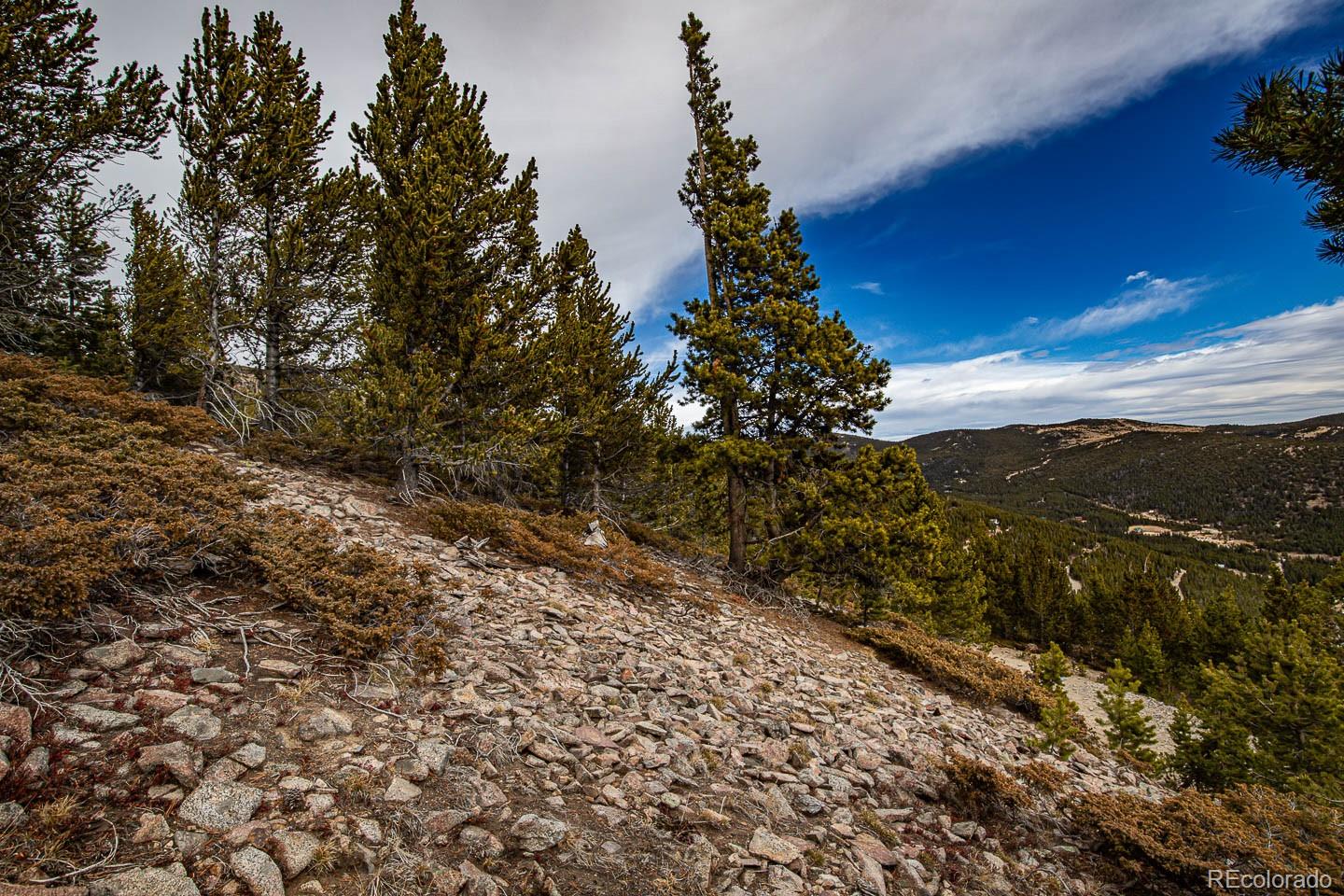 111 Hilltop Road Idaho Springs, CO 80452 - Photo 17 of 25