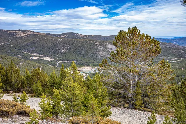 a big yard with lots of green space