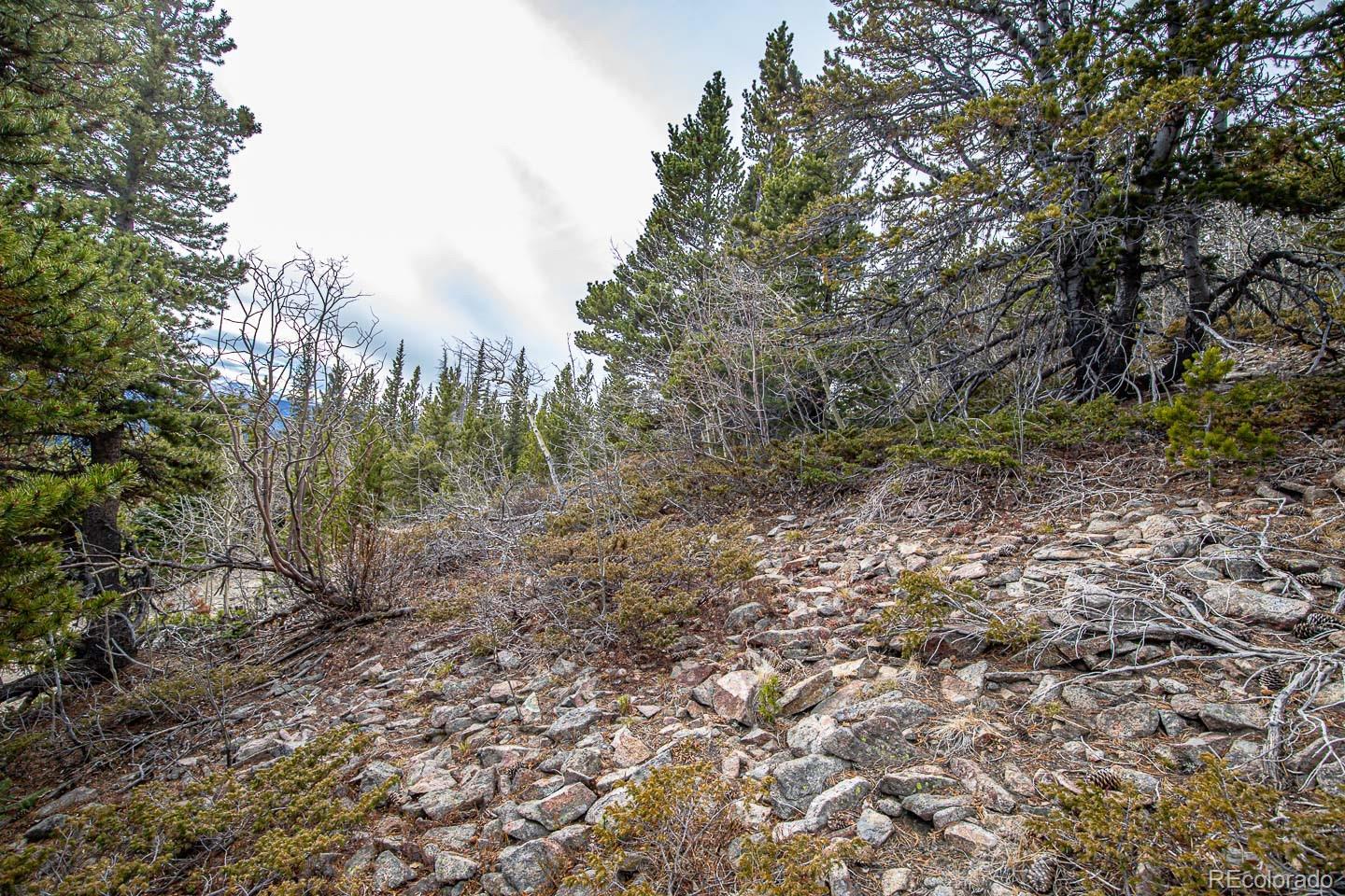 111 Hilltop Road Idaho Springs, CO 80452 - Photo 19 of 25