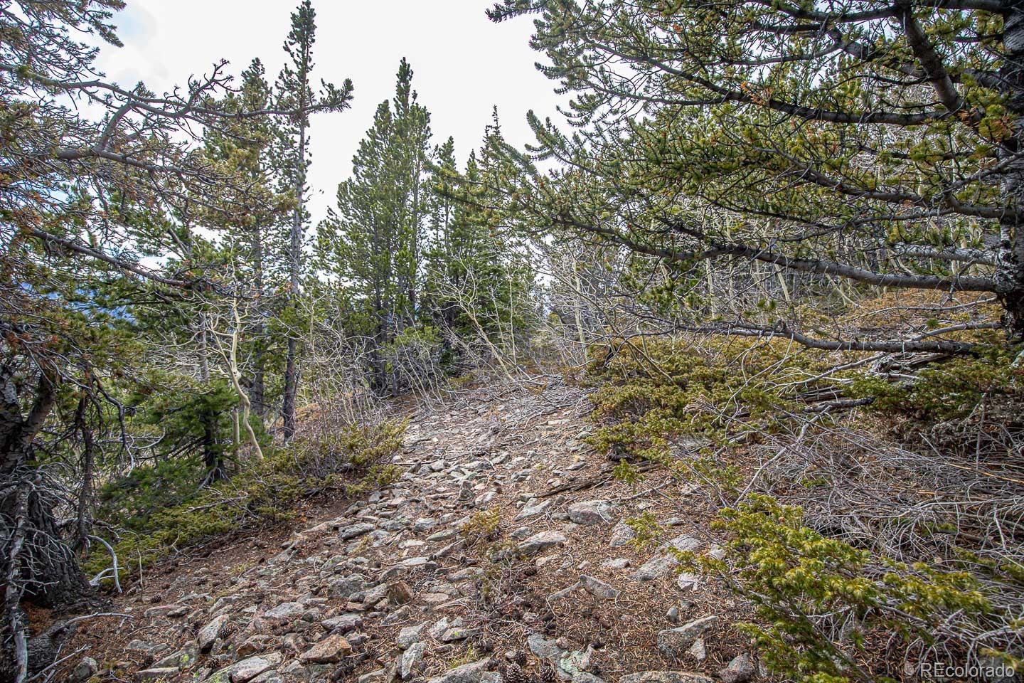 111 Hilltop Road Idaho Springs, CO 80452 - Photo 21 of 25