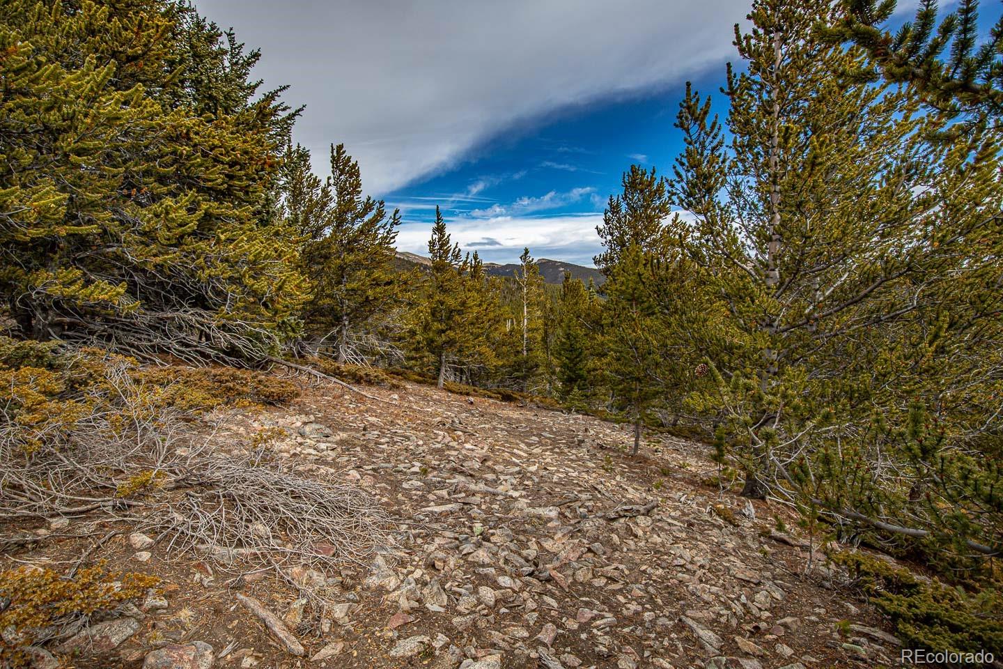 111 Hilltop Road Idaho Springs, CO 80452 - Photo 22 of 25