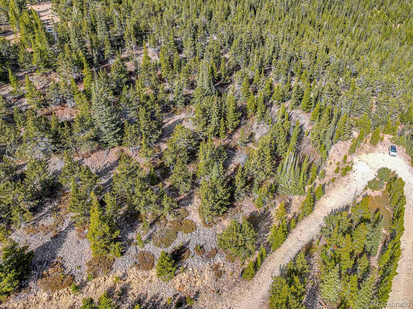 111 Hilltop Road Idaho Springs, CO 80452 - Photo 5 of 25