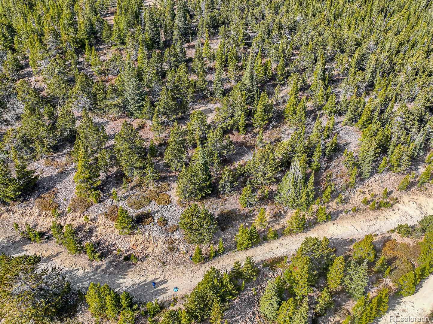 111 Hilltop Road Idaho Springs, CO 80452 - Photo 6 of 25