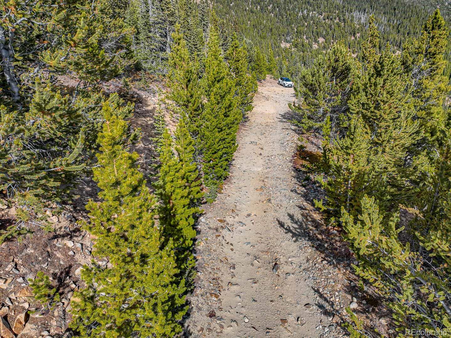 111 Hilltop Road Idaho Springs, CO 80452 - Photo 7 of 25