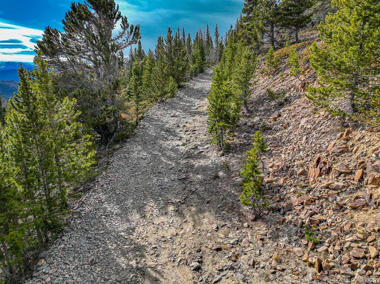 111 Hilltop Road Idaho Springs, CO 80452 - Photo 8 of 25