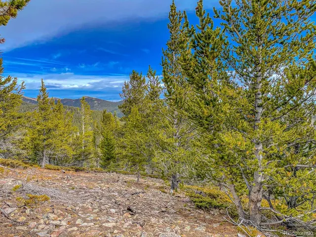 a big yard with lots of green space