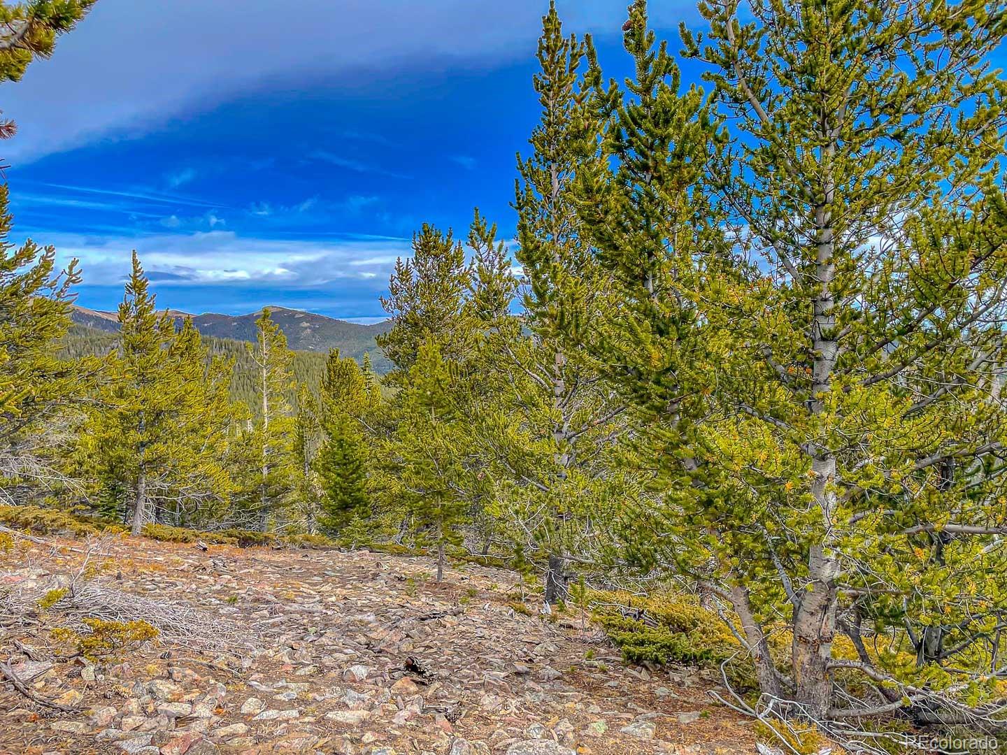 111 Hilltop Road Idaho Springs, CO 80452 - Photo 9 of 25