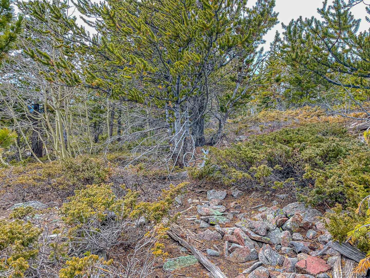 111 Hilltop Road Idaho Springs, CO 80452 - Photo 10 of 25