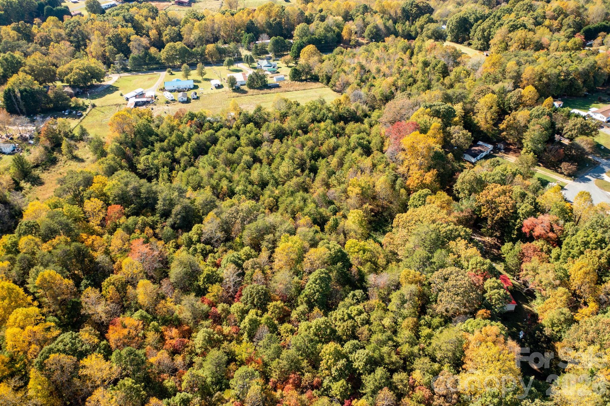 0 Rest Home Road Claremont, NC 28610 - Photo 2 of 11
