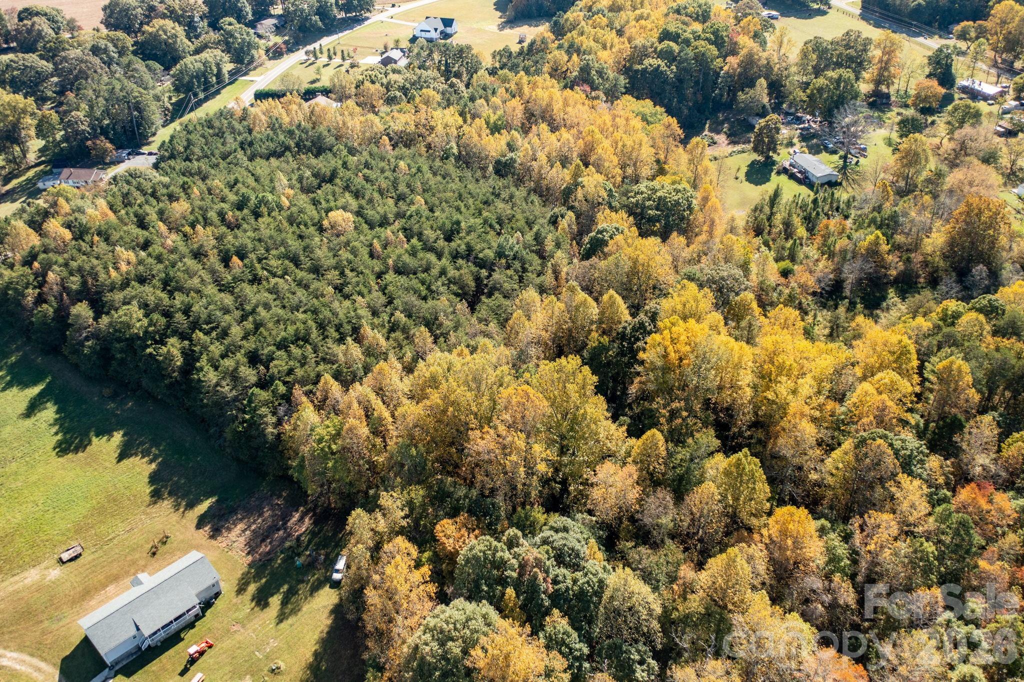 0 Rest Home Road Claremont, NC 28610 - Photo 3 of 11