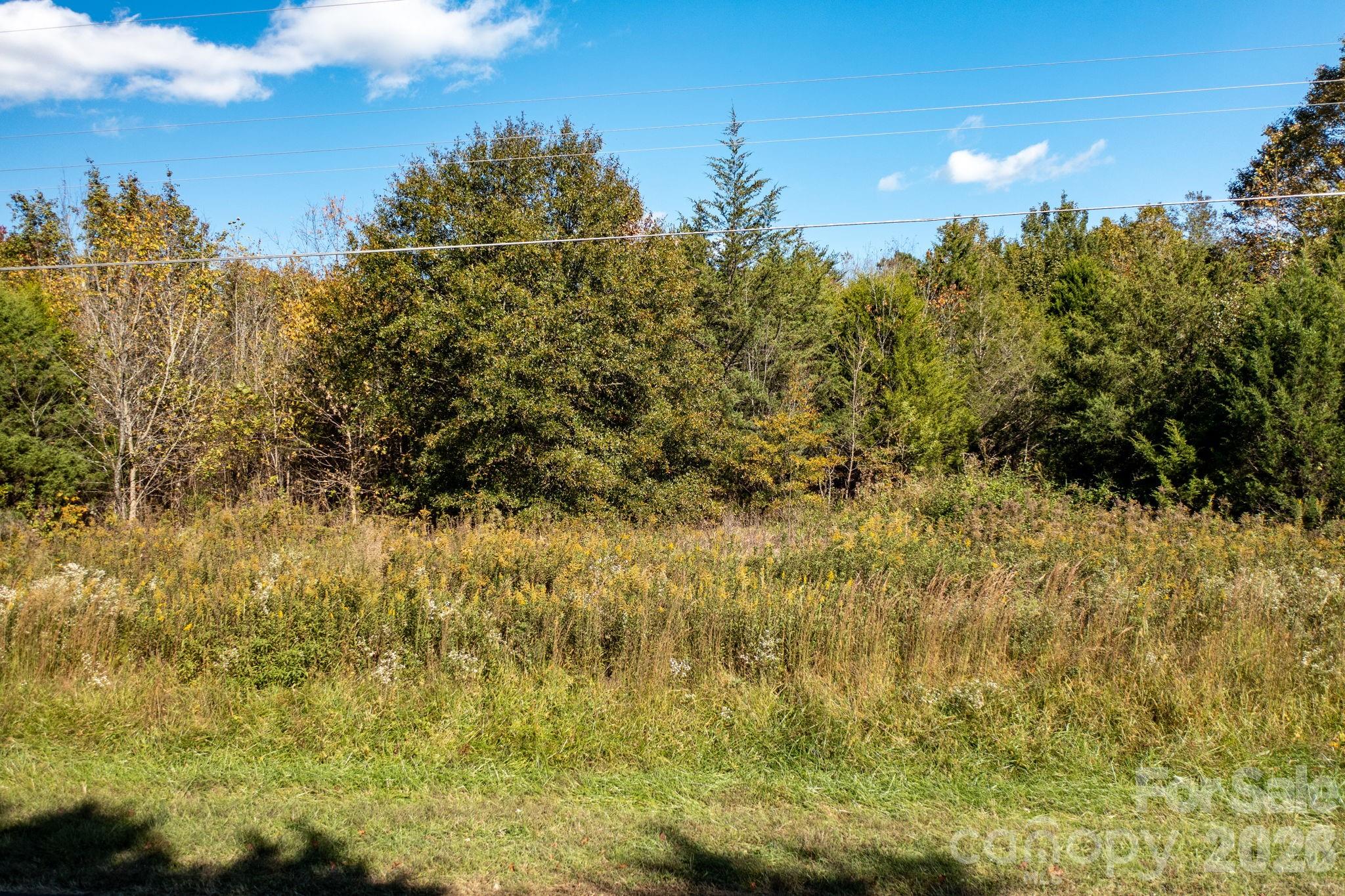 0 Rest Home Road Claremont, NC 28610 - Photo 4 of 11