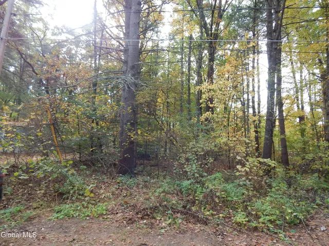 $70,000 | L1 Vincek Lane, Saratoga Springs, NY 12866