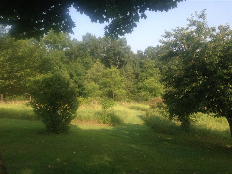 18154 Timber Lake Road Manchester, MI 48158 - Photo 20 of 20 Photo 20