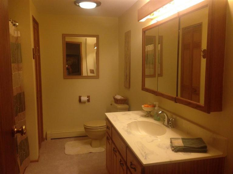 18154 Timber Lake Road Manchester, MI 48158 - Photo 10 of 20 Photo 10