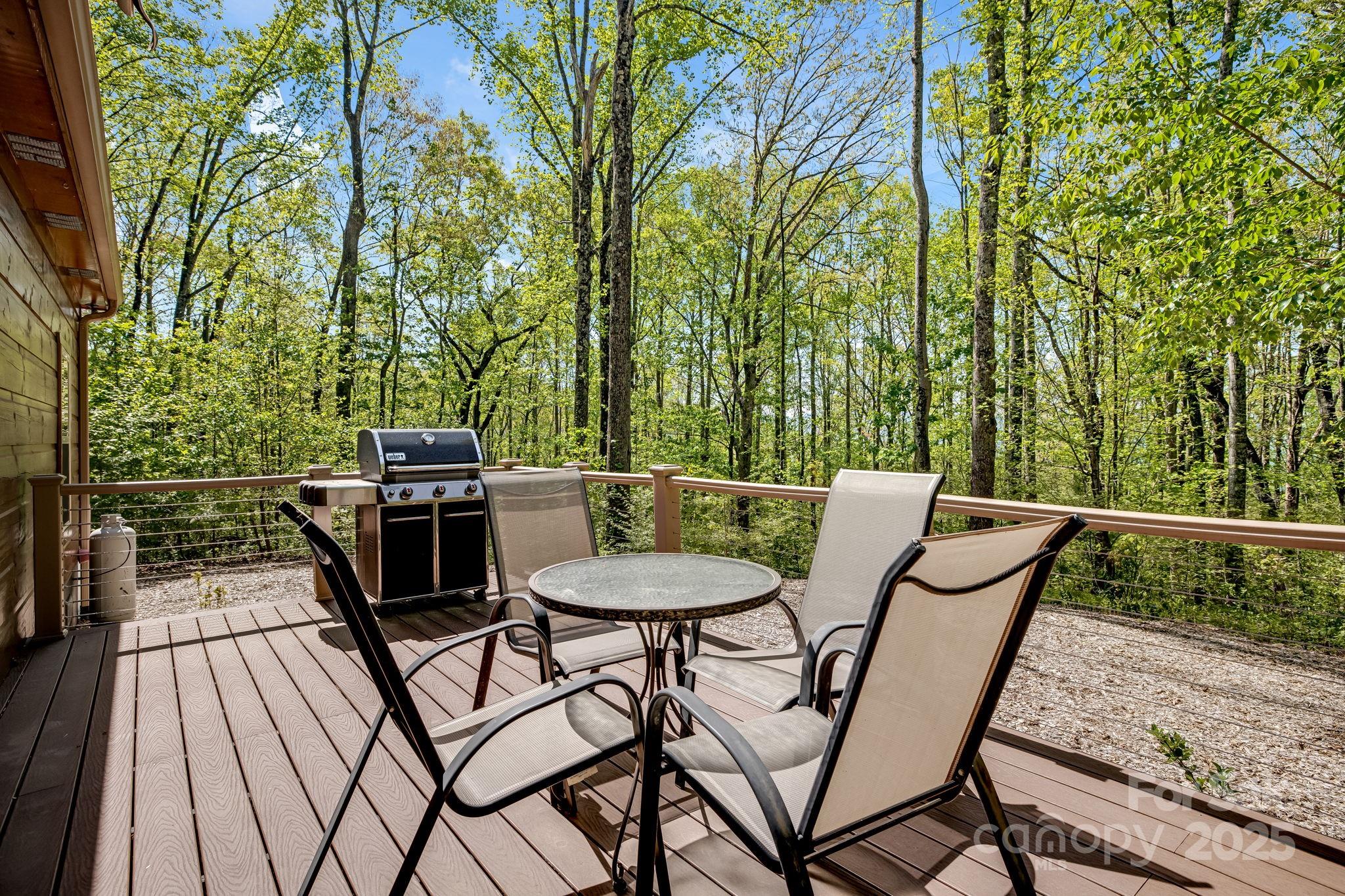 214 Log Gap Road Fairview, NC 28730 - Photo 43 of 46 Gallery Image 43