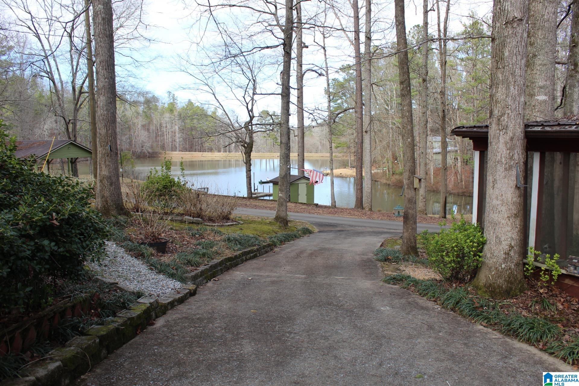 253 County Road 921 Delta, AL 36258 - Photo 6 of 36
