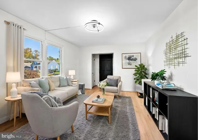 a living room with furniture and a potted plant