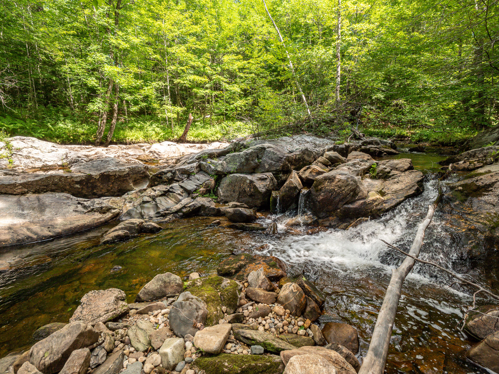 85 Hut Road Stoneham, ME 04231 - Photo 31 of 36 apbrook2