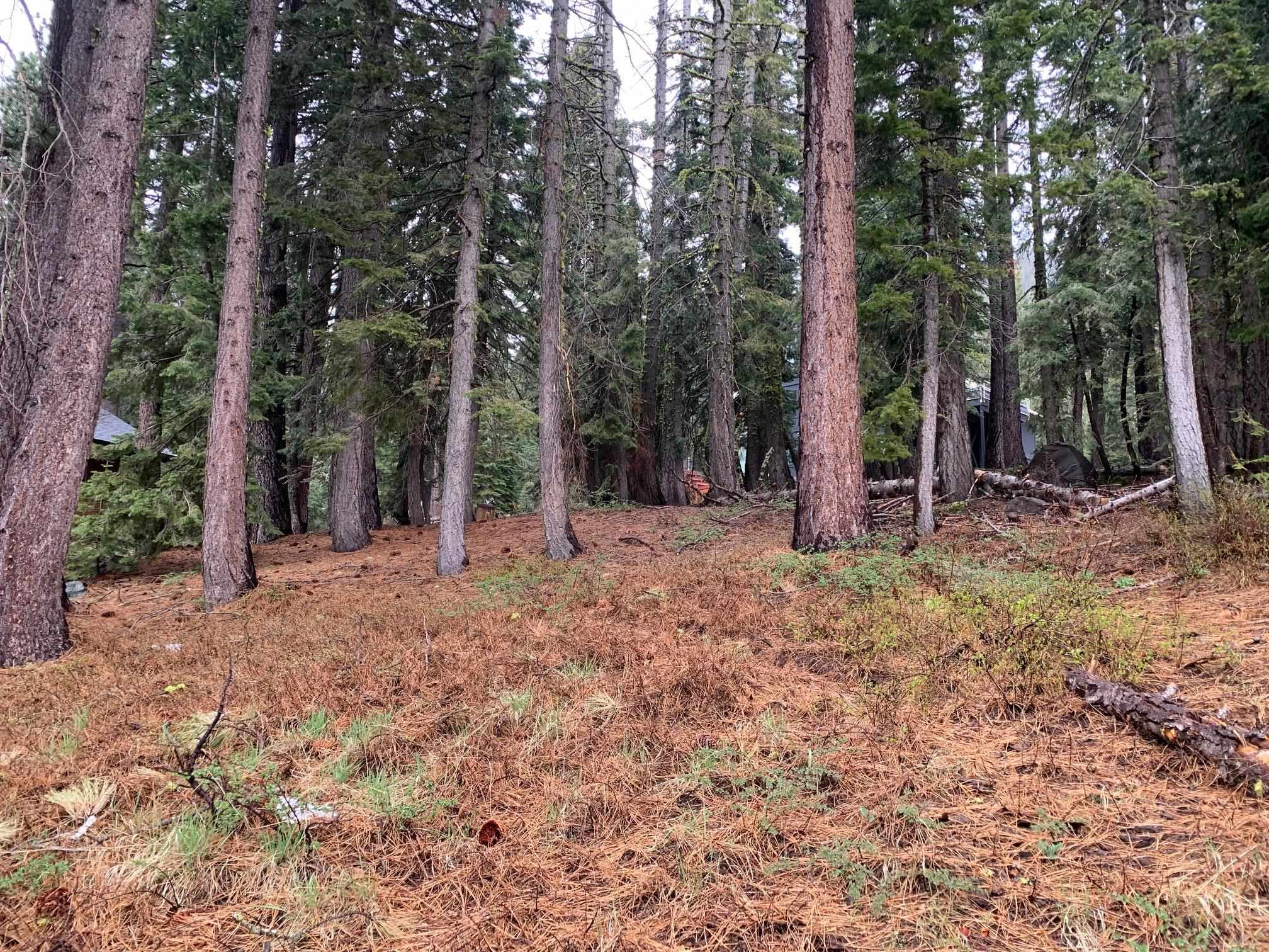 4036 Courchevel Road Homewood, CA 96141 - Photo 1 of 9