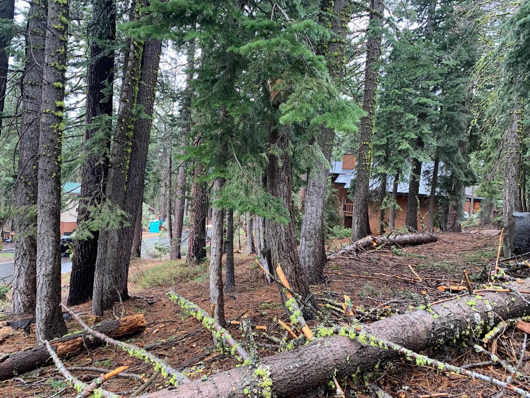 4036 Courchevel Road Homewood, CA 96141 - Photo 8 of 9