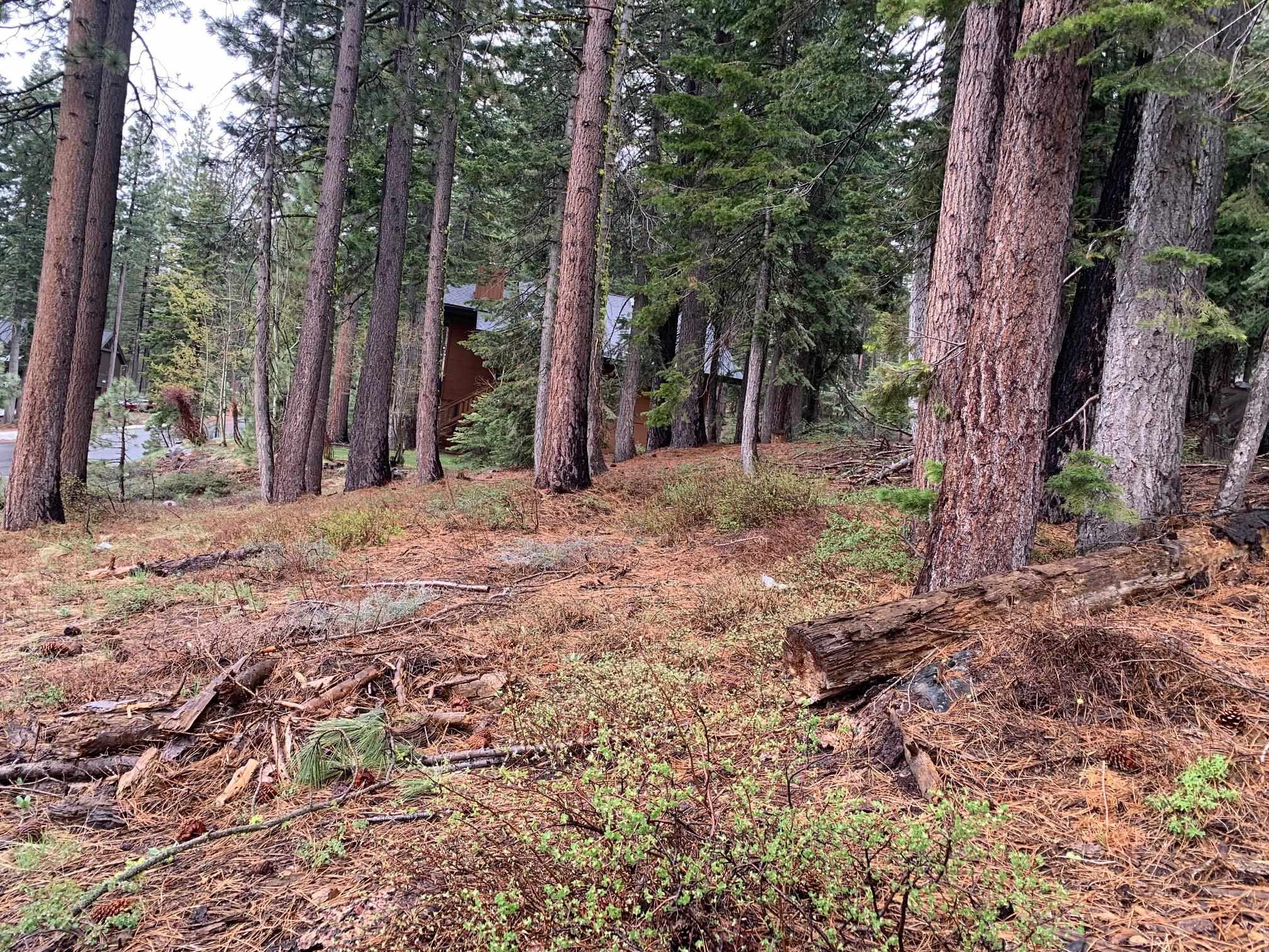 4036 Courchevel Road Homewood, CA 96141 - Photo 9 of 9