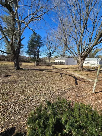 a view of a yard with a tree