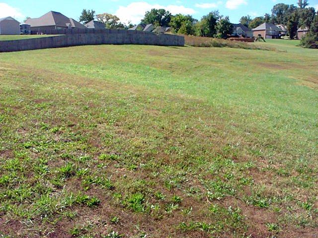 1 Drake Road Adams, TN 37010 - Photo 3 of 3 a view of an ocean from a yard