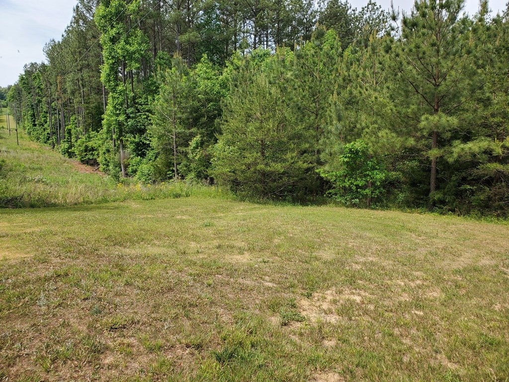 River View Appomattox, VA 24522 - Photo 6 of 10 Gallery Image 6