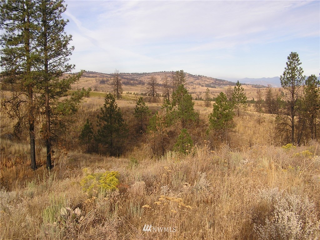 111-tbd Armitage Hill Road Riverside, WA 98849 - Photo 6 of 11 Gallery Image 6