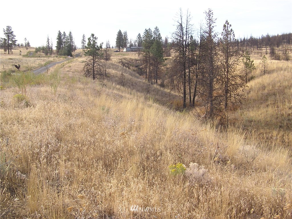 111-tbd Armitage Hill Road Riverside, WA 98849 - Photo 7 of 11 Gallery Image 7
