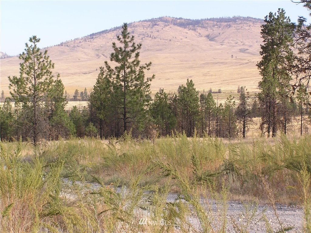 111-tbd Armitage Hill Road Riverside, WA 98849 - Photo 10 of 11 Gallery Image 10