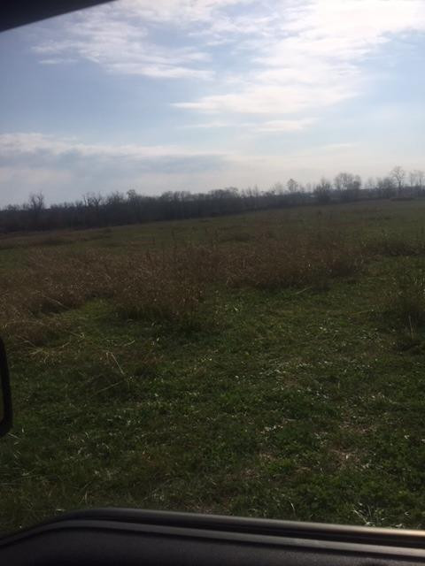 5 Flood Road Shelbyville, KY 40065 - Photo 4 of 8 Photo 4