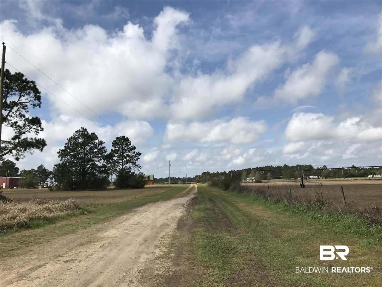 0 Singleton Lane Elberta, AL 36530 - Photo 5 of 5 Singleton Lane