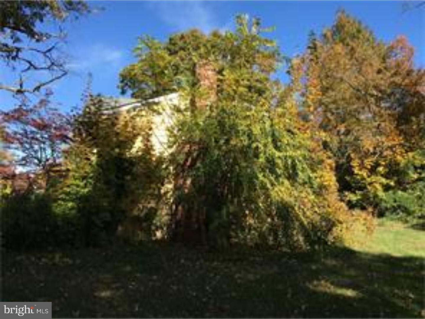 507 Riggs Avenue Berlin, NJ 08009 - Photo 4 of 4 Gallery Image 4