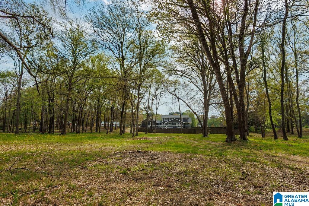 960 River Run Road Childersburg, AL 35044 - Photo 18 of 71 Gallery Image 18