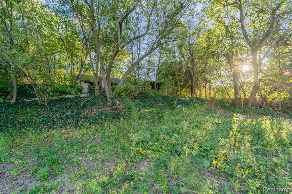 4354 Maybee Road Lake Orion, MI 48359 - Photo 12 of 22