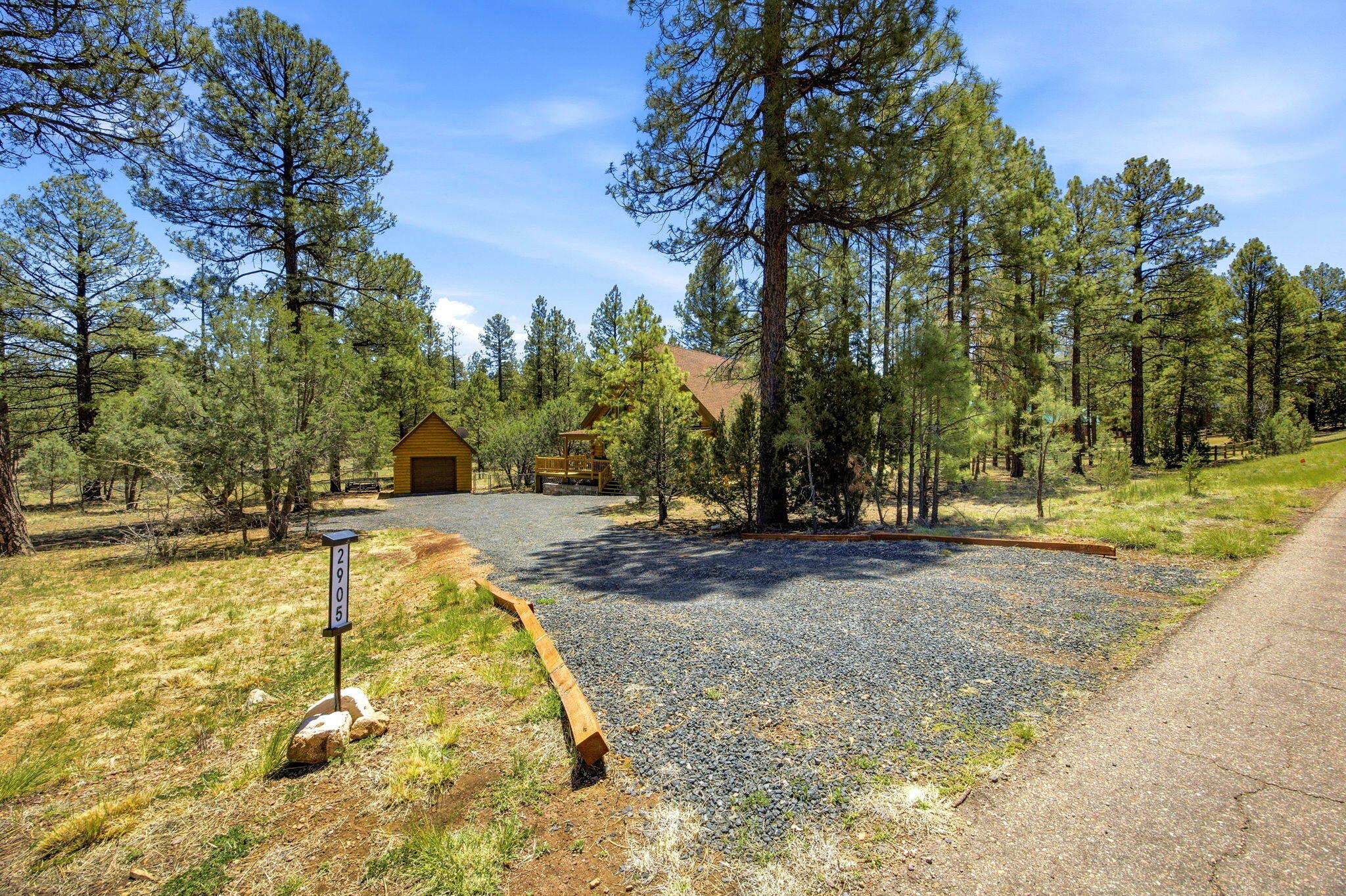 2905 Lodgepole Road Overgaard, AZ 85933 - Photo 3 of 42