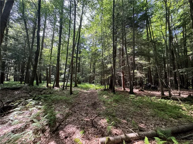 $115,000 | 5757 State Highway, Oneonta, NY 13820