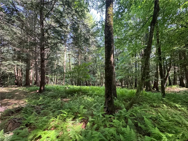 $115,000 | 5757 State Highway, Oneonta, NY 13820