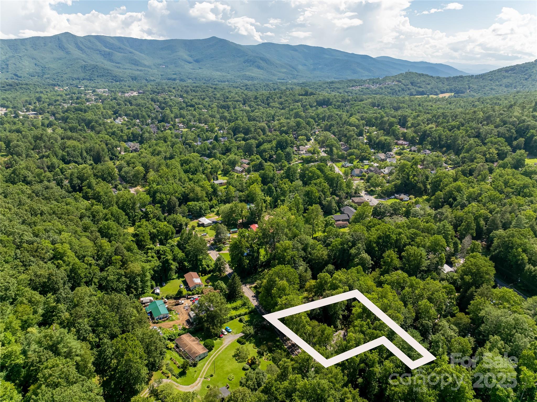 321 Flat Creek Road Black Mountain, NC 28711 - Photo 2 of 44 a view of a yard with a mountain